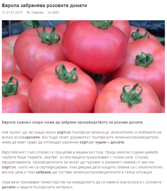 EU-BG-Tomato-png-4g6u